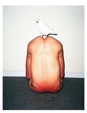 Artwork Title: Untitled
