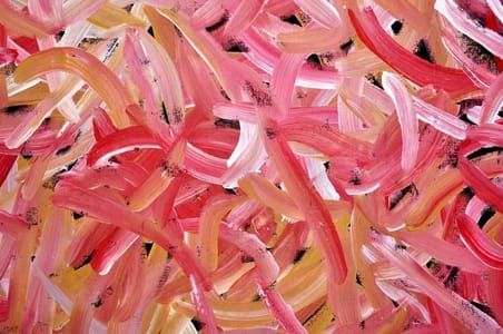 Artwork Title: Bush Yam Dreaming