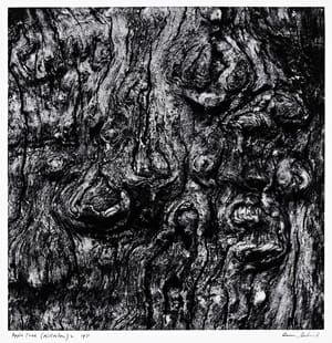 Artwork Title: Untitled