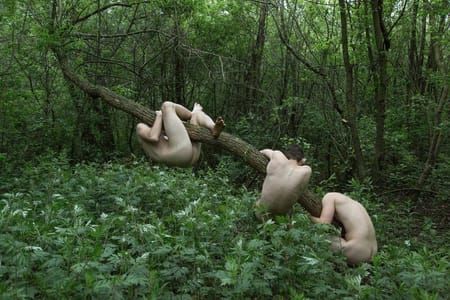 Artwork Title: Untitled