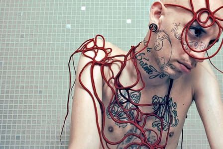 Artwork Title: Arteriae