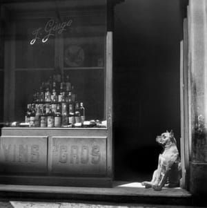Artwork Title: Arles