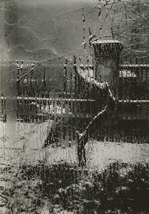 Artwork Title: Untitled