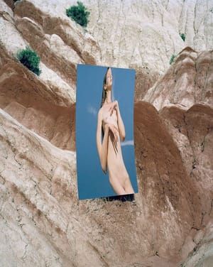 Artwork Title: Untitled