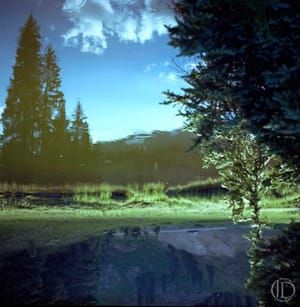 Artwork Title: Reflection