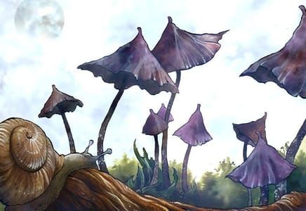 Artwork Title: Psilocybe Hoogshagengii