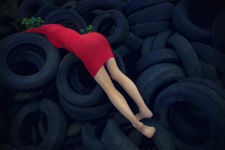 Artwork Title: Miss Aniela Retreated