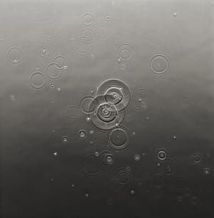 Artwork Title: Untitled
