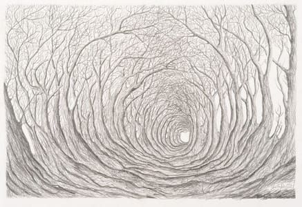 Artwork Title: Untitled