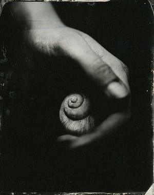 Artwork Title: Untitled