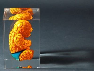 Artwork Title: The thing foetus