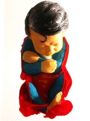Artwork Title: Superfoetus