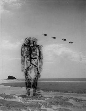 Artwork Title: Omen