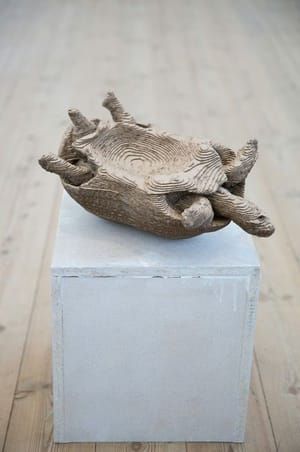 Artwork Title: Testudo Tabulata/Pyx