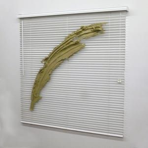 Artwork Title: Untitled