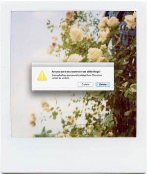 Artwork Title: Human Error