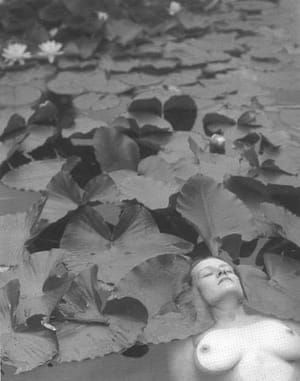 Artwork Title: Ophelia