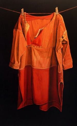 Artwork Title: Roodbaaienhemd  (Red Baize Shirt)