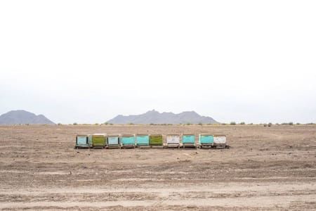 Artwork Title: Series From Siete Cerros