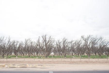 Artwork Title: Series From Siete Cerros