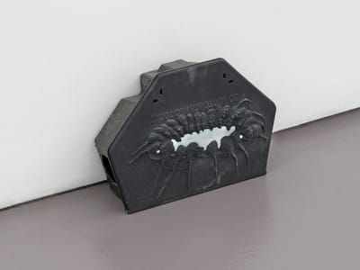 Artwork Title: Untitled (Rat Worship, Karni Mata)