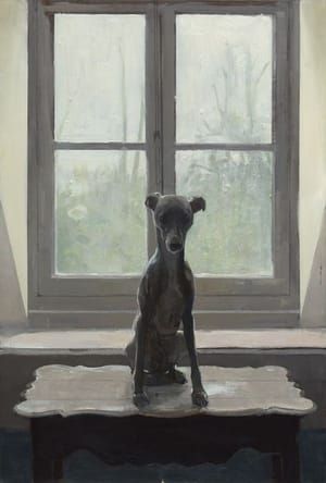 Artwork Title: Whippet in Backlight