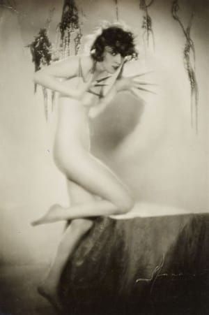 Artwork Title: Ariman Banu