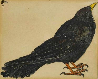 Artwork Title: Bergdohle (Alpine chough)