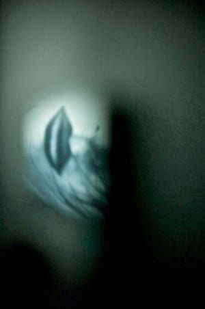 Artwork Title: Untitled