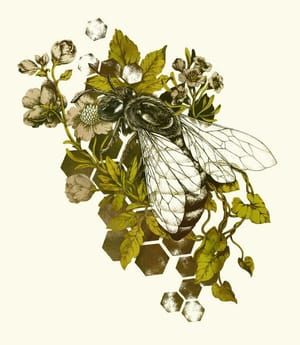 Artwork Title: Honeybee