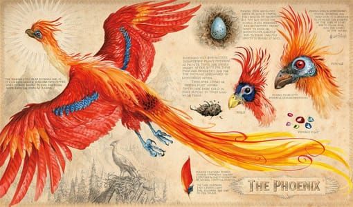 Artwork Title: Phoenix