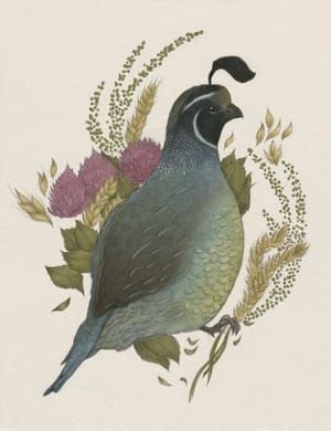 Artwork Title: Quail