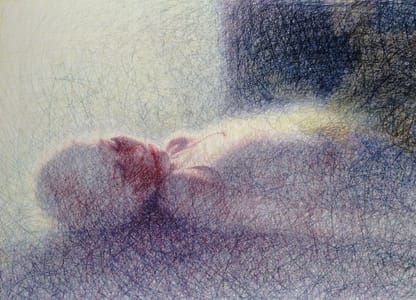 Artwork Title: Good-bye, Pinzessin