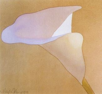 Artwork Title: Lily in Shadow