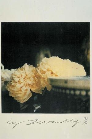 Artwork Title: Photograph
