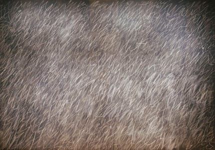 Artwork Title: Untitled