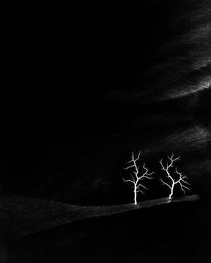 Artwork Title: Lightning Fields 144