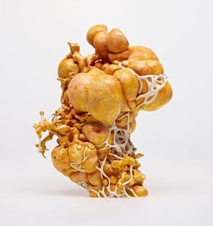 Artwork Title: Sniburtad