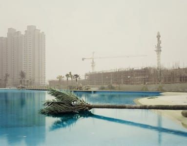 Artwork Title: Nanjing Ii (metal Palm), Jiangsu Province