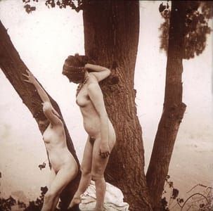 Artwork Title: Rare Old Stereophoto Nudism Belle Epoque