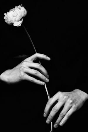 Artwork Title: Untitled