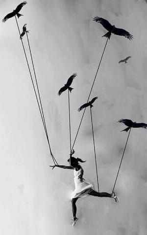 Artwork Title: Human flight