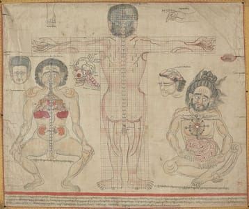 Artwork Title: Localization of Viscera in the Torso