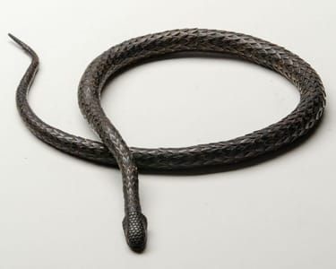 Artwork Title: Articulated Snake