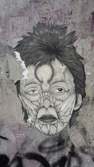 Artwork Title: David Bowie