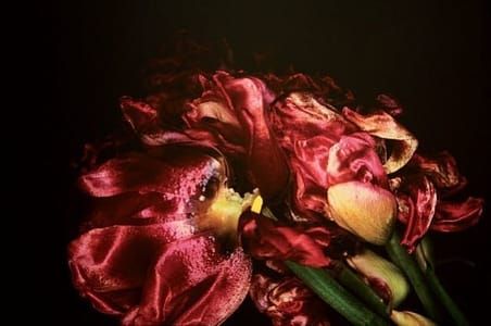 Artwork Title: From The Series Kakyoku
