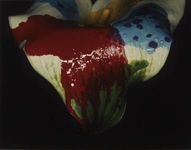 Artwork Title: Untitled