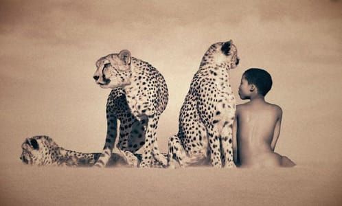 Artwork Title: Untitled