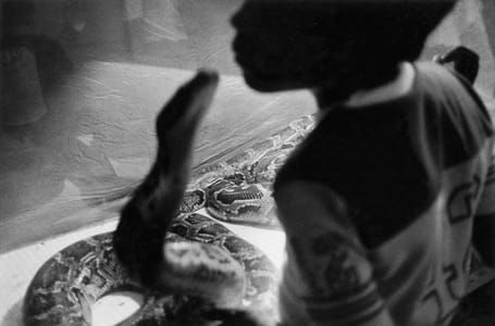 Artwork Title: Untitled