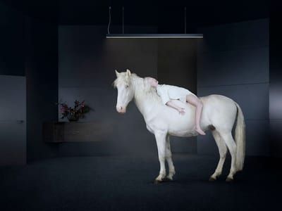 Artwork Title: Untitled